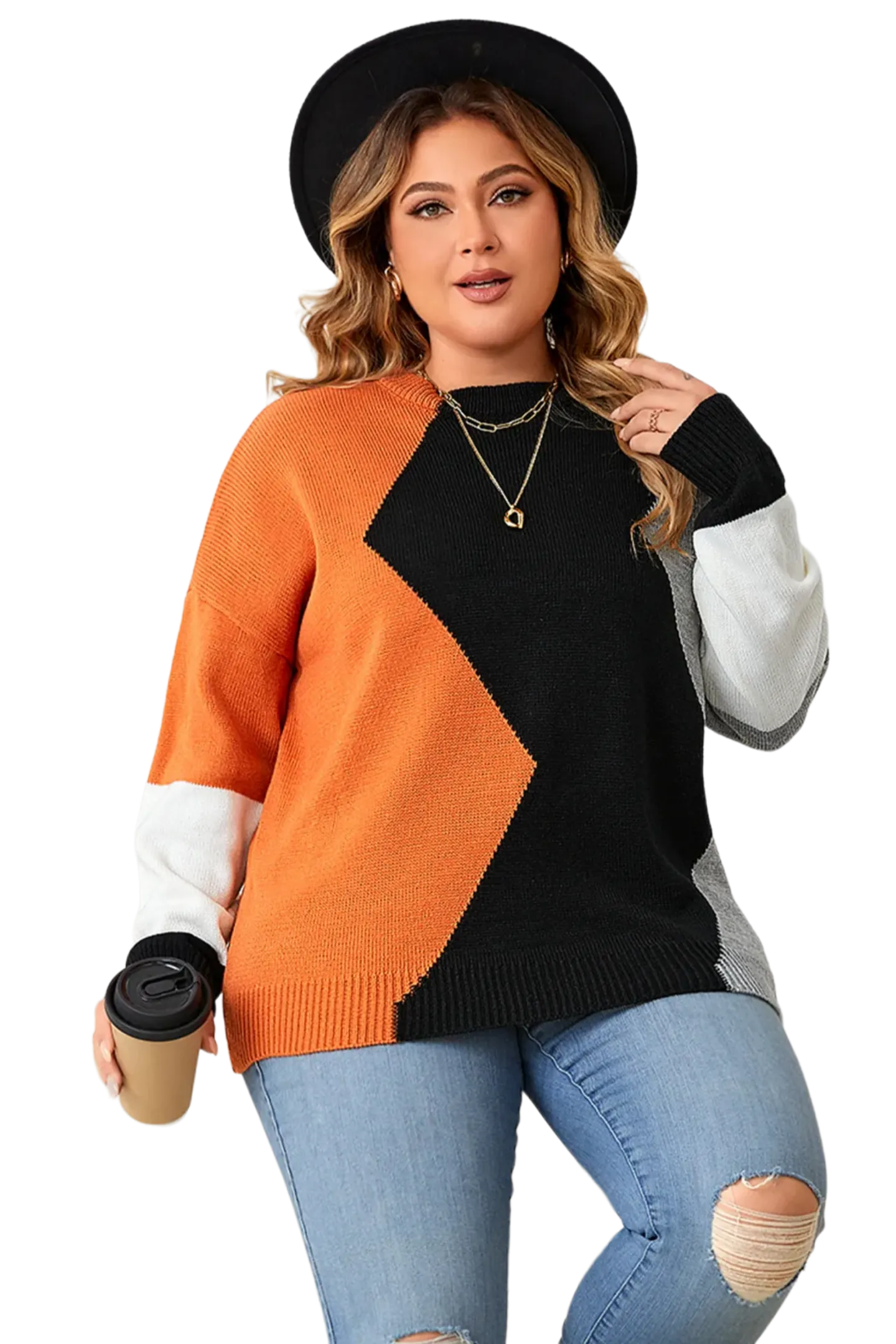 Plus Size Color Block Round Neck Knit Top