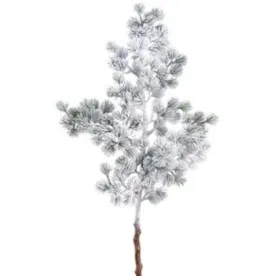 Snowed Pine Spray