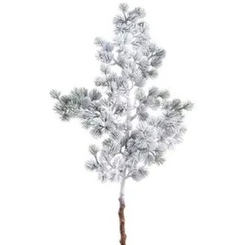 Snowed Pine Spray